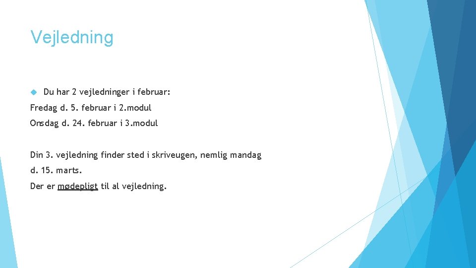 Vejledning Du har 2 vejledninger i februar: Fredag d. 5. februar i 2. modul