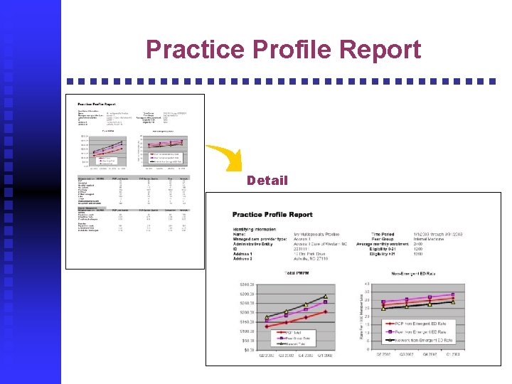 Practice Profile Report Detail 