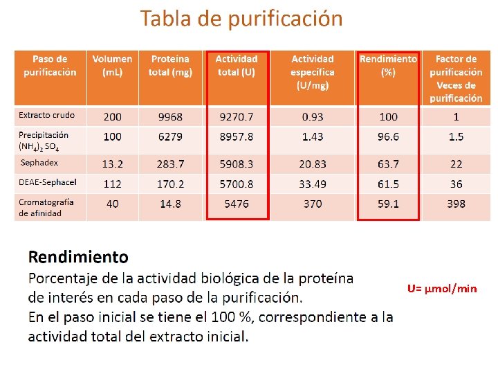 U= µmol/min 