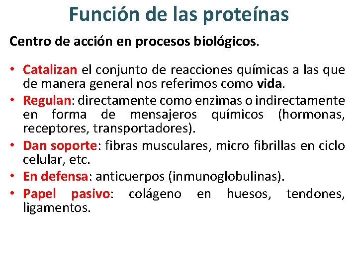 Función de las proteínas Centro de acción en procesos biológicos. • Catalizan el conjunto