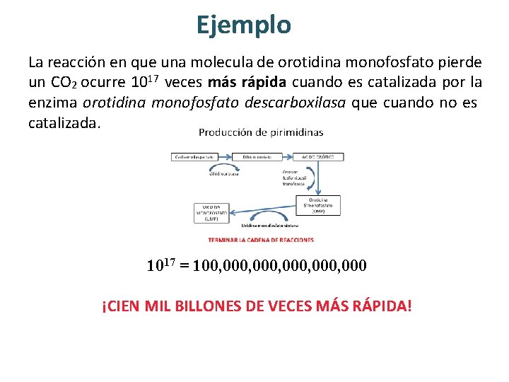 Ejemplo La reacción en que una molecula de orotidina monofosfato pierde un CO 2