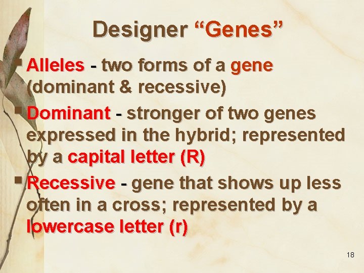 Designer “Genes” § Alleles - two forms of a gene (dominant & recessive) §