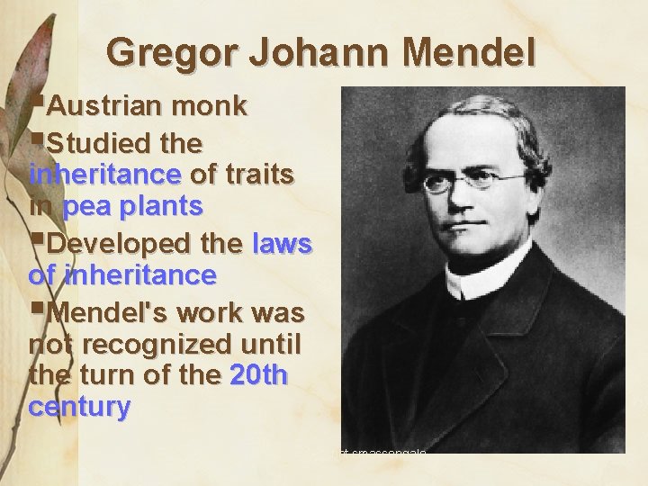 Gregor Johann Mendel §Austrian monk §Studied the inheritance of traits in pea plants §Developed
