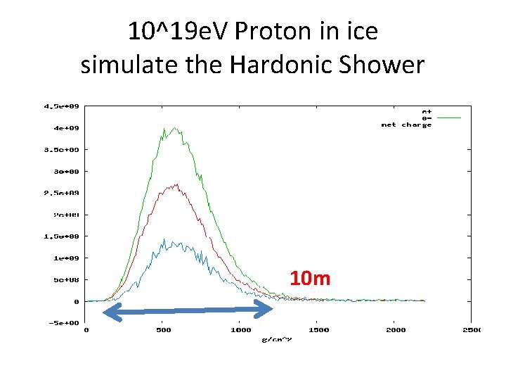 10^19 e. V Proton in ice simulate the Hardonic Shower 10 m 10^19 e. V Proton in ice simulate the Hardonic Shower 10 m