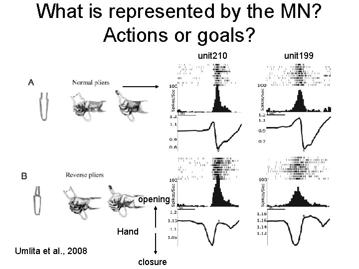 What is represented by the MN? Actions or goals? unit 210 opening Hand Umlita