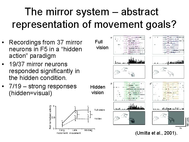 The mirror system – abstract representation of movement goals? • Recordings from 37 mirror