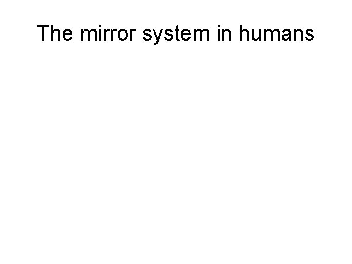 The mirror system in humans 