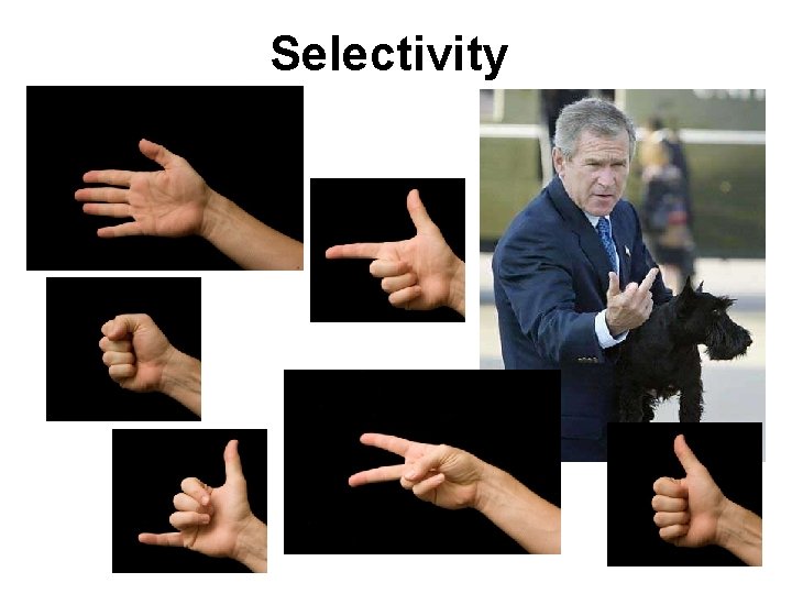 Selectivity 
