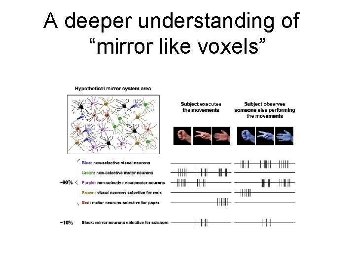 A deeper understanding of “mirror like voxels” 