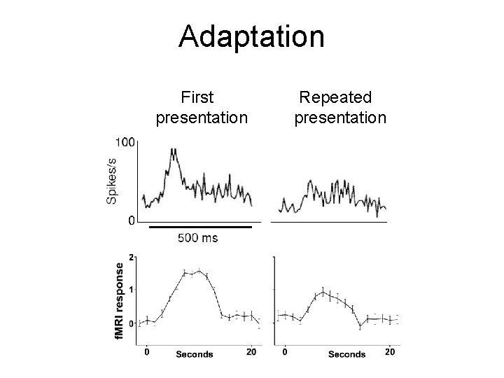 Adaptation First presentation Repeated presentation 