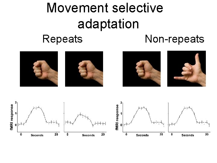 Movement selective adaptation Repeats Non-repeats 