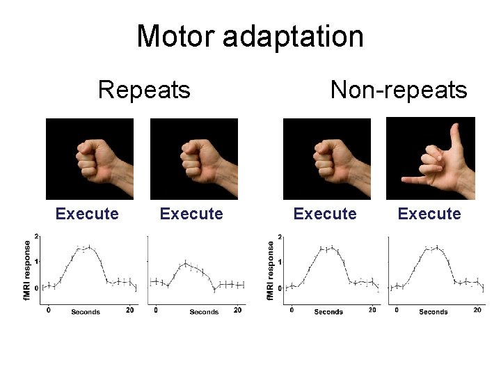 Motor adaptation Repeats Execute Non-repeats Execute 