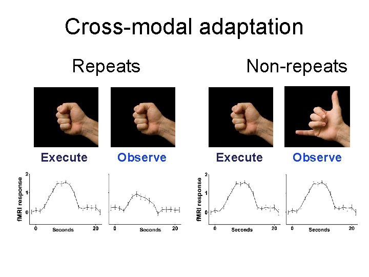 Cross-modal adaptation Repeats Execute Observe Non-repeats Execute Observe 