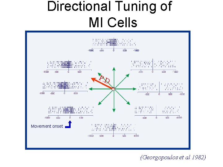 Directional Tuning of MI Cells P. D . Movement onset (Georgopoulos et al 1982)