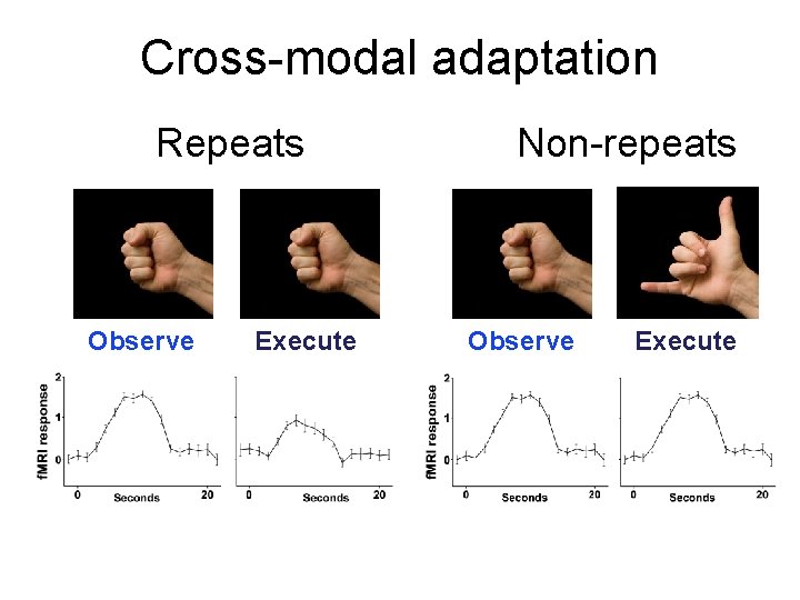 Cross-modal adaptation Repeats Observe Execute Non-repeats Observe Execute 