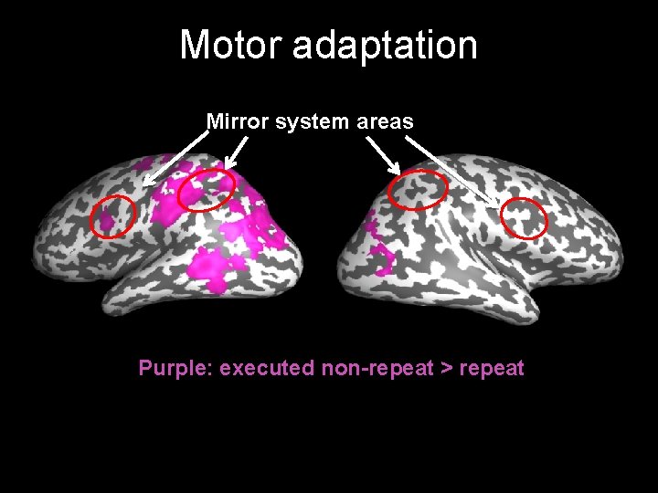 Motor adaptation Mirror system areas Purple: executed non-repeat > repeat 