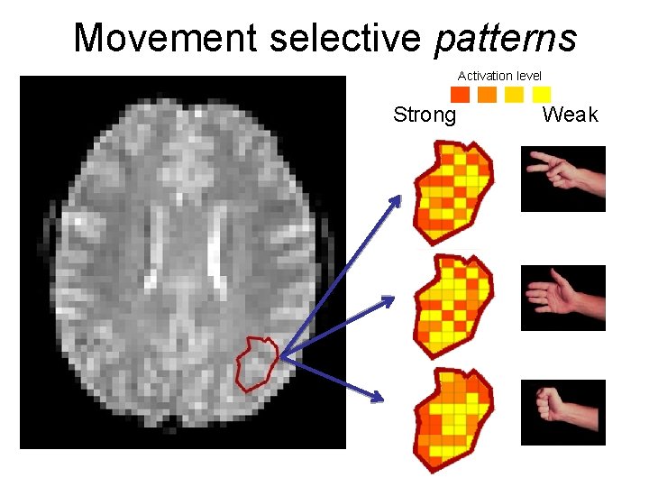 Movement selective patterns Activation level Strong Weak 