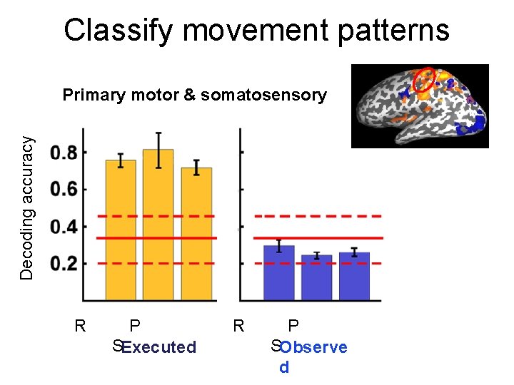 Classify movement patterns Decoding accuracy Primary motor & somatosensory R P SExecuted R P