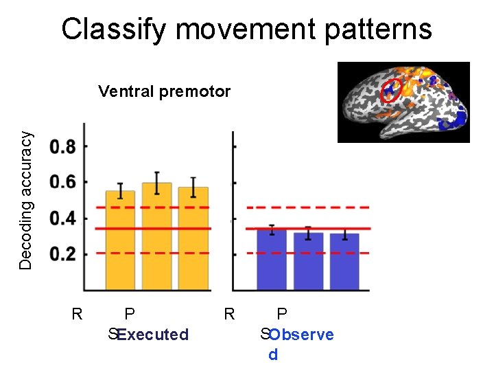 Classify movement patterns Decoding accuracy Ventral premotor R P SExecuted R P SObserve d