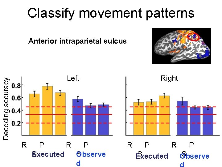 Classify movement patterns Anterior intraparietal sulcus Decoding accuracy Left R P S S Observe