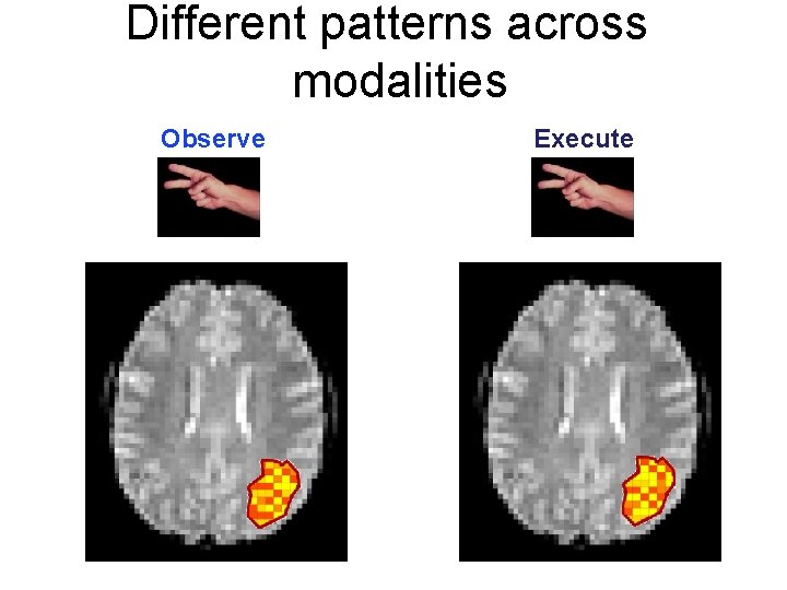Different patterns across modalities Observe Execute 