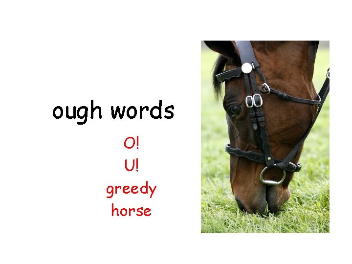 ough words O! U! greedy horse 