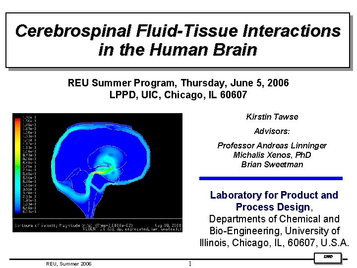 Cerebrospinal FluidTissue Interactions in the Human Brain REU