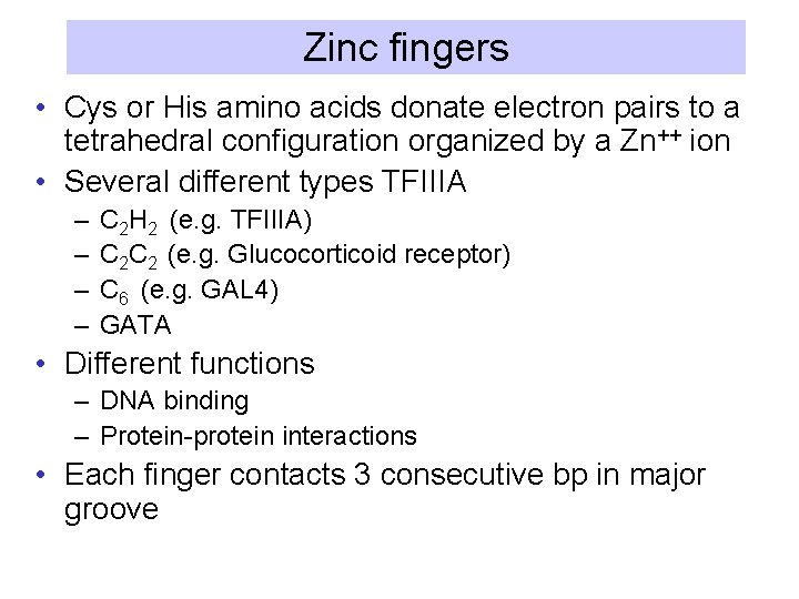 Zinc fingers • Cys or His amino acids donate electron pairs to a tetrahedral