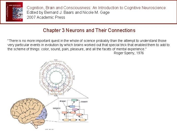 Cognition, Brain and Consciousness: An Introduction to Cognitive Neuroscience Edited by Bernard J. Baars