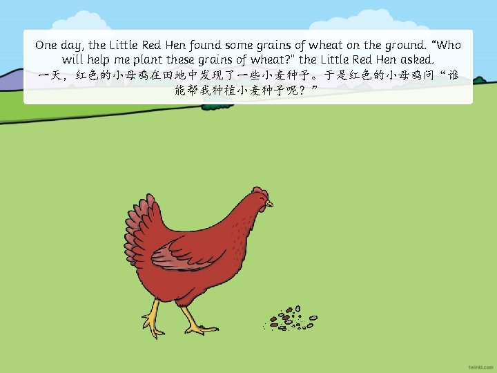 One day, the Little Red Hen found some grains of wheat on the ground.