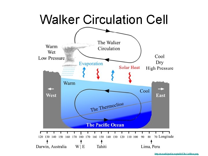 Walker Circulation Cell http: //en. wikipedia. org/wiki/File: La. Nina. png 