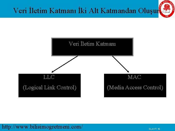 Veri İletim Katmanı İki Alt Katmandan Oluşur; Veri İletim Katmanı LLC MAC (Logical Link