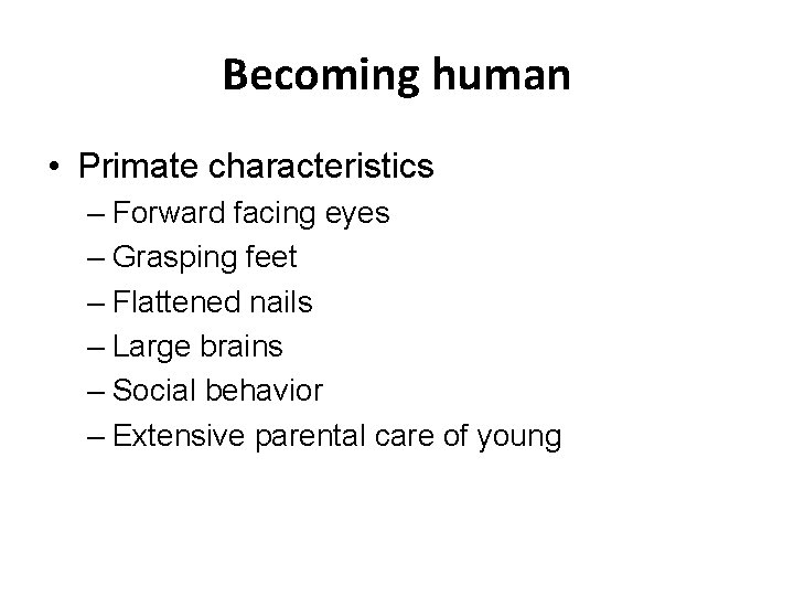Becoming human • Primate characteristics – Forward facing eyes – Grasping feet – Flattened