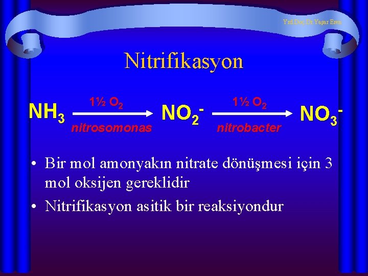 Yrd. Doç. Dr. Yaşar Eren Nitrifikasyon NH 3 1½ O 2 nitrosomonas NO 2