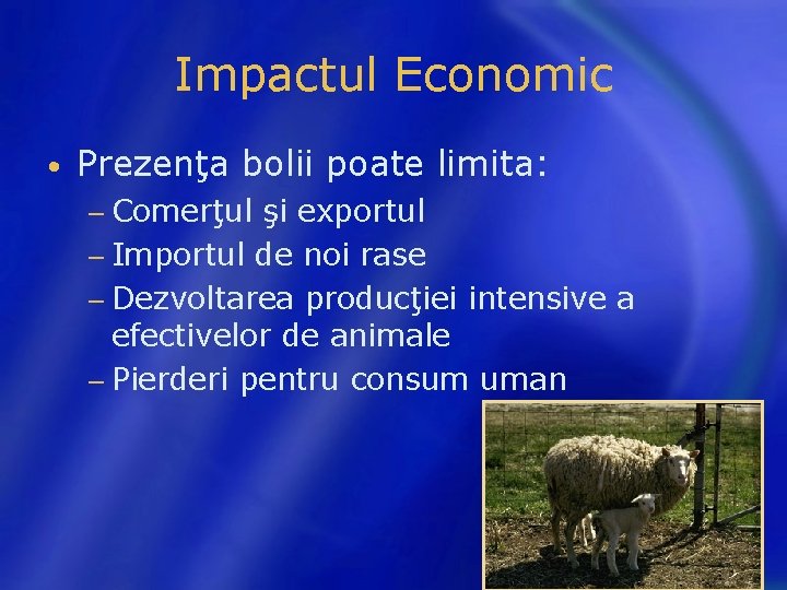 Impactul Economic • Prezenţa bolii poate limita: − Comerţul şi exportul − Importul de