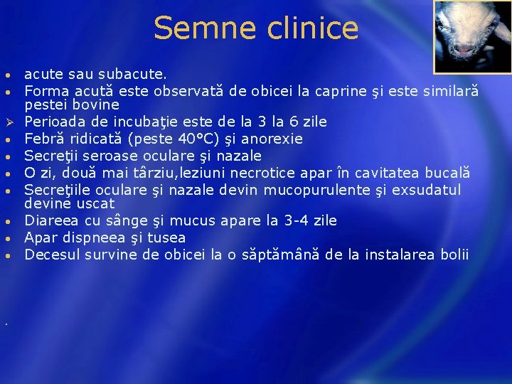 Semne clinice • • Ø • • acute sau subacute. Forma acută este observată