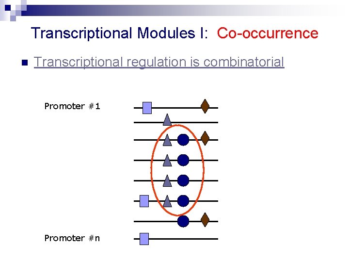 Transcriptional Modules I: Co-occurrence n Transcriptional regulation is combinatorial Promoter #1 Promoter #n 