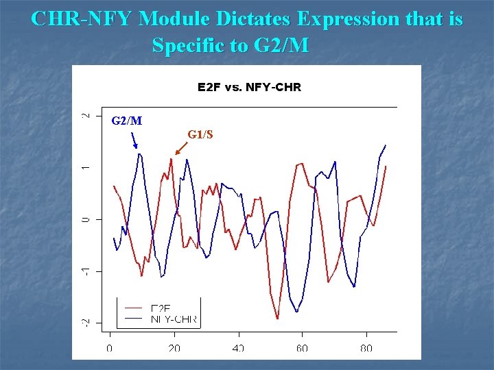CHR-NFY Module Dictates Expression that is Specific to G 2/M G 1/S 