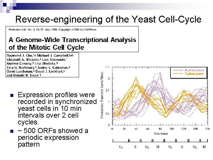 Reverse-engineering of the Yeast Cell-Cycle n n Expression profiles were recorded in synchronized yeast