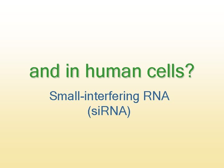 and in human cells? Small-interfering RNA (si. RNA) 