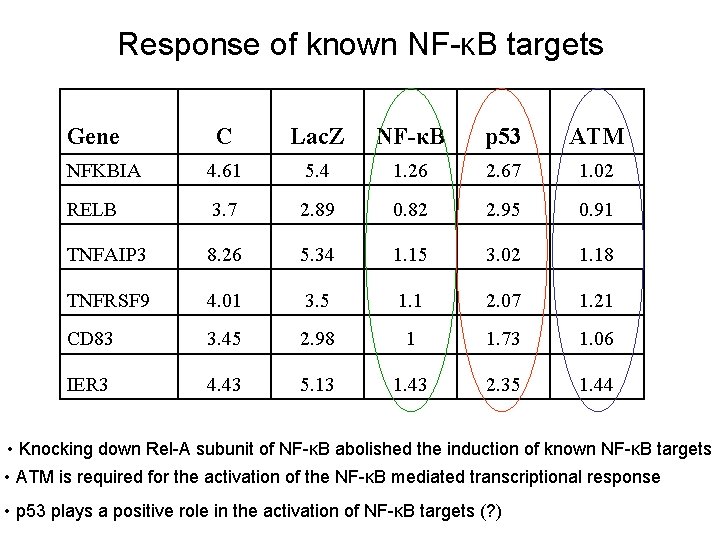 Response of known NF-κB targets Gene C Lac. Z NF-κB p 53 ATM NFKBIA