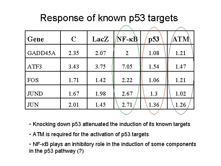 Response of known p 53 targets Gene C Lac. Z NF-κB p 53 ATM