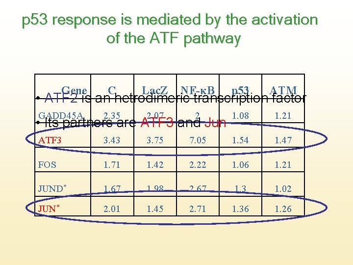 p 53 response is mediated by the activation of the ATF pathway Gene C