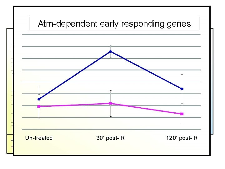 Major. Atm-dependent Gene Clusters –early Irradiated Lymph node responding genes 