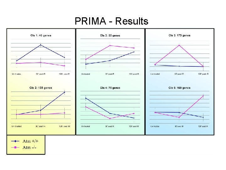 PRIMA - Results 