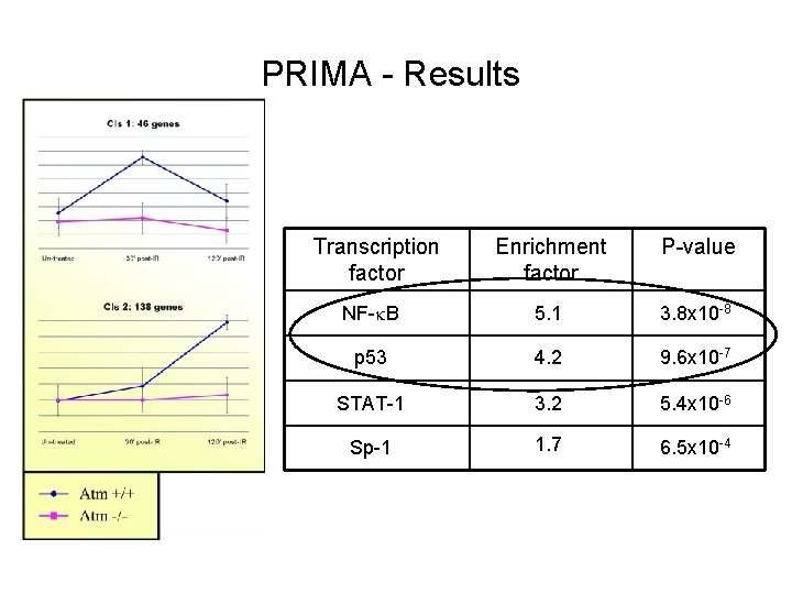 PRIMA - Results Transcription factor Enrichment factor P-value NF- B 5. 1 3. 8