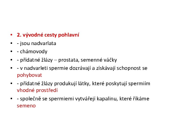 2. vývodné cesty pohlavní - jsou nadvarlata - chámovody - přídatné žlázy – prostata,