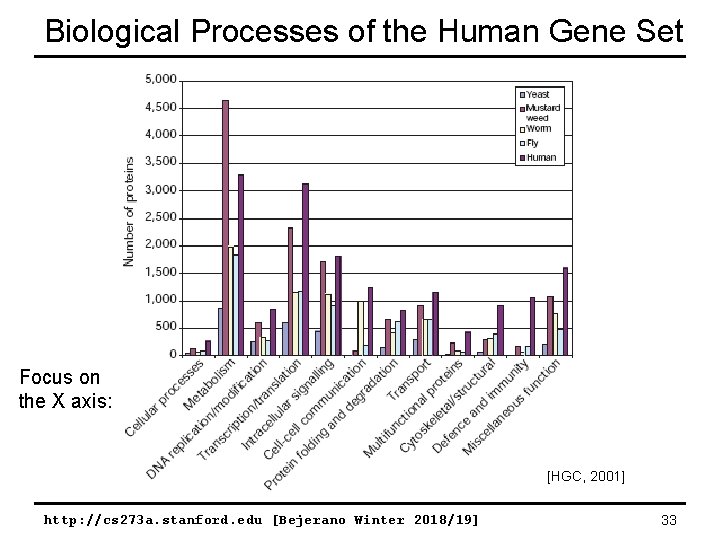 Biological Processes of the Human Gene Set Focus on the X axis: [HGC, 2001]