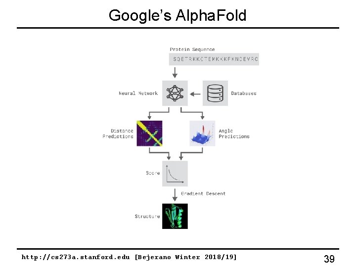 Google’s Alpha. Fold http: //cs 273 a. stanford. edu [Bejerano Winter 2018/19] 39 