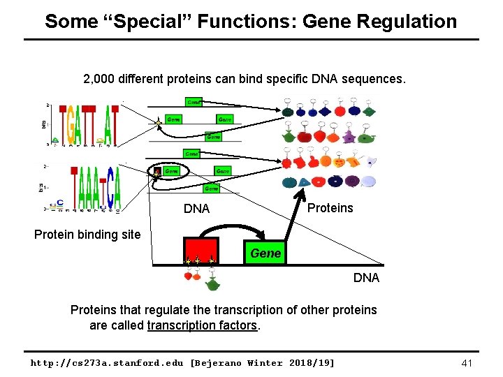 Some “Special” Functions: Gene Regulation 2, 000 different proteins can bind specific DNA sequences.